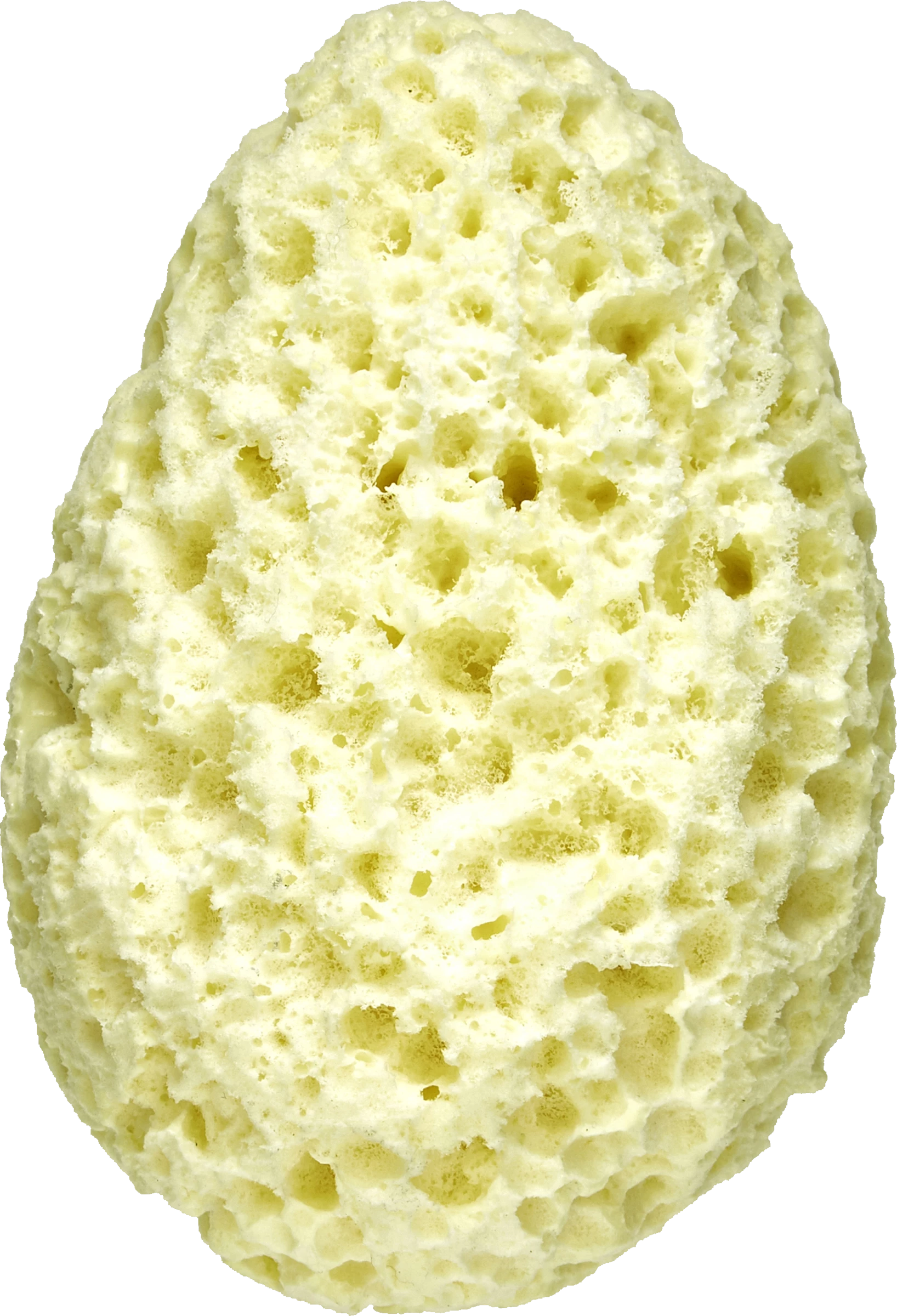 FOR YOUR Beauty Wellness Badeschwamm 1 FOR YOUR Beauty Wellness Badeschwamm