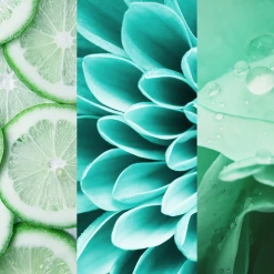 8x4 Deodorant Spray N°7 Fresh Lime -Satin Naturel shop MAM 7311477 SHOP IMAGE 1.4