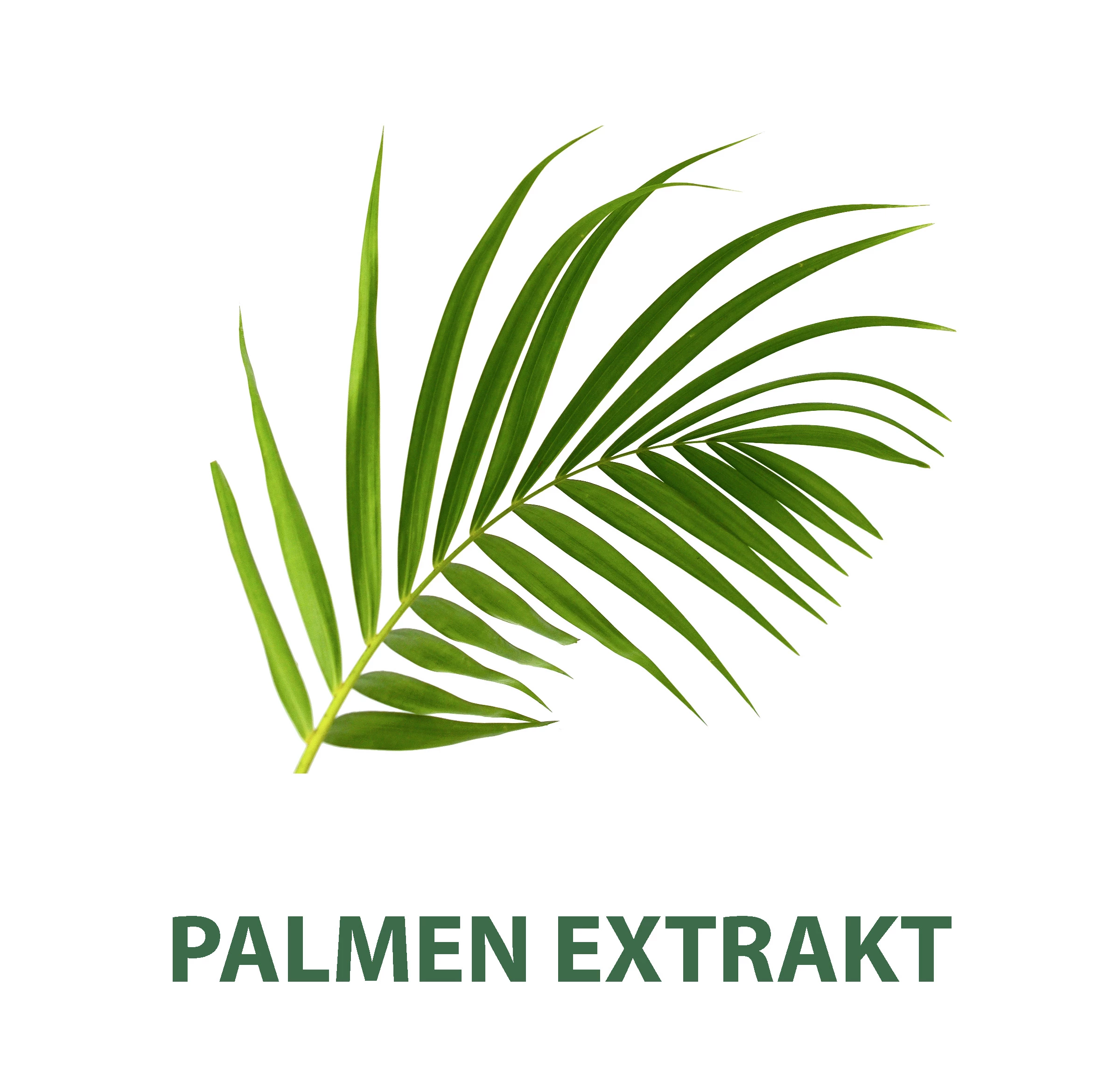 Palmolive MEN Rasierschaum Classic 2 Palmolive MEN Rasierschaum Classic – Bild 2