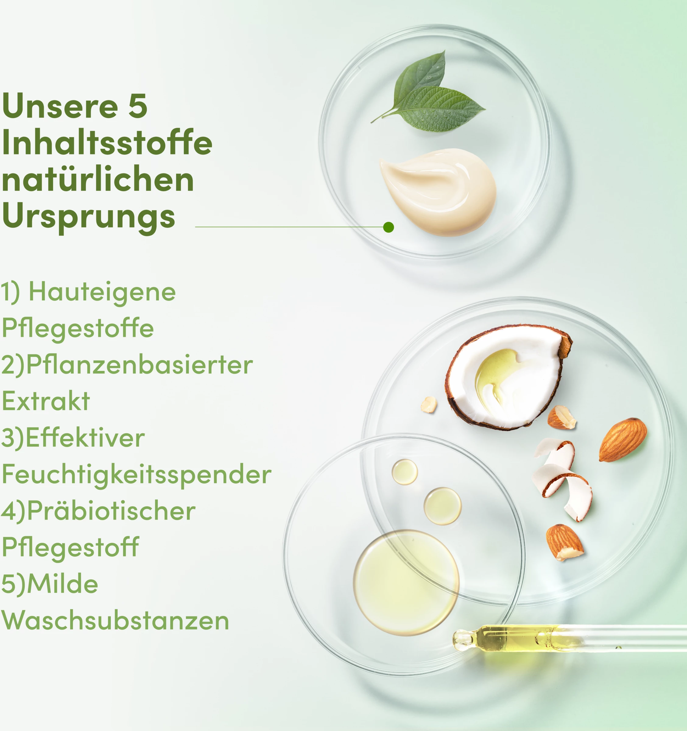 DOVE Care By Nature Pflegedusche Wohltuend Mit Kokosöl & Mandelextrakt 2 DOVE Care By Nature Pflegedusche Wohltuend Mit Kokosöl & Mandelextrakt – Bild 2